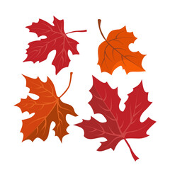 Vector autumn red and orange dry maple leaves. Flat illustration with brown plants for design