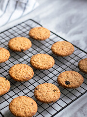 Freshly baked oatmeal cookies cooling on a black wire rack, with a light background and soft natural lighting. The cookies are golden brown with hints of raisins and a crispy texture, creating a cozy