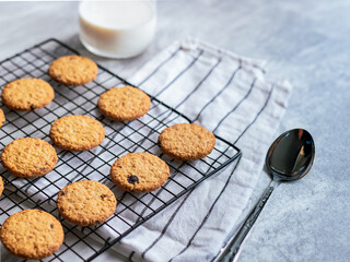 Freshly baked oatmeal cookies cooling on a black wire rack, with a light background and soft natural lighting. The cookies are golden brown with hints of raisins and a crispy texture, creating a cozy
