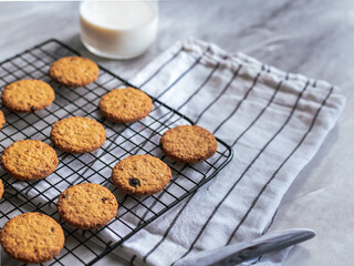 Freshly baked oatmeal cookies cooling on a black wire rack, with a light background and soft natural lighting. The cookies are golden brown with hints of raisins and a crispy texture, creating a cozy