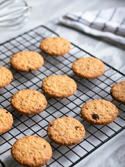 Freshly baked oatmeal cookies cooling on a black wire rack, with a light background and soft natural lighting. The cookies are golden brown with hints of raisins and a crispy texture, creating a cozy