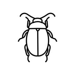 Beetle Chrysolina Outline Icon, Vector illustration