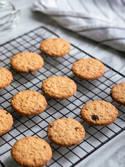 Freshly baked oatmeal cookies cooling on a black wire rack, with a light background and soft natural lighting. The cookies are golden brown with hints of raisins and a crispy texture, creating a cozy