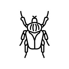 Dried Insect Outline Icon, Vector illustration