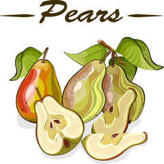 Pears whole and cut in the illustration.Vector color illustration with pears on a transparent background with text.