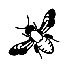 Bee Thyreus Glyph Icon, Vector illustration