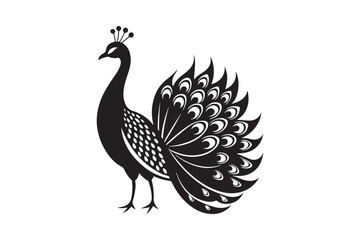 
Peacock silhouette vector illustration, Peacock silhouette vector , Peacock silhouette , Peacock silhouette PNG. 