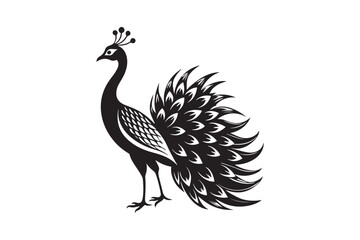 
Peacock silhouette vector illustration, Peacock silhouette vector , Peacock silhouette , Peacock silhouette PNG. 