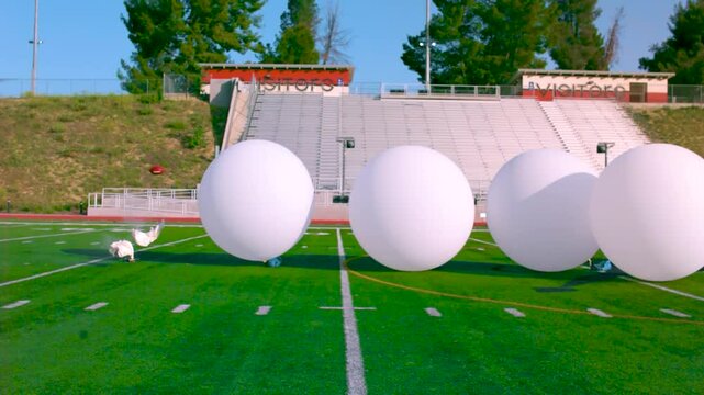 Big white balloons filled with air being crushed by an American football on an American football field in slow motion during summer time while sun shines. The balloons explode and have shadows.