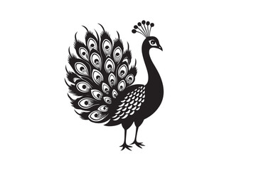 
Peacock silhouette vector illustration, Peacock silhouette vector , Peacock silhouette , Peacock silhouette PNG. 