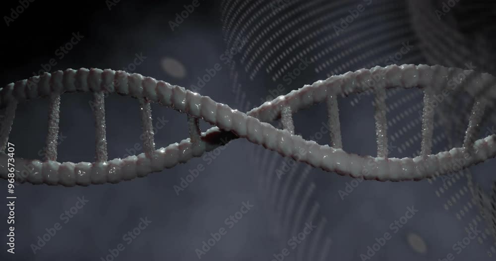 Poster animation of dna strand spinning and data processing on grey background