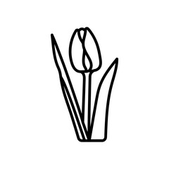 Tulip Outline Icon, Vector illustration