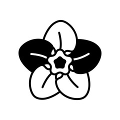 Scorpion Grasses Glyph Icon, Vector illustration