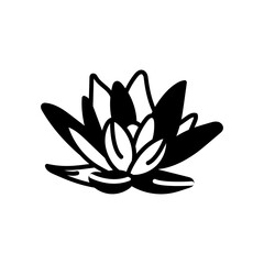 Water Lily Glyph Icon, Vector illustration