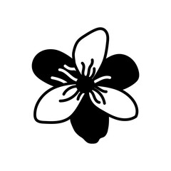 Blue Flower Glyph Icon, Vector illustration