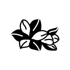 Orange Flower Glyph Icon, Vector illustration