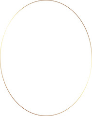 Aesthetic Gold Frame