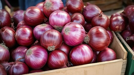 Fresh onions in a wooden box, ready for export, closeup
