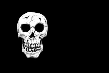 Skull head isolated on a black background. Copy space.