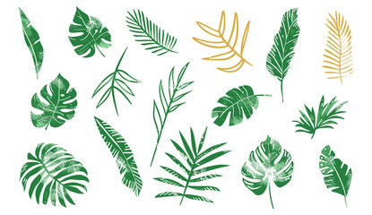 hand drawn Palm leaf crayon brush. Beautiful palm tree leaf set silhouette vector illustration, tropical leaves palms, trees. Foliage green tropical jungle leaves monstera, banana tree leaf texture