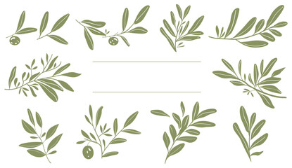 olive leaves Botanical line illustration set, Olive branches set in minimal linear style. branch wreath for wedding invitation and cards, logo design, Leaves and olive fruits vector