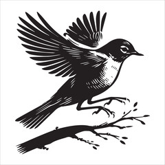 Obraz premium American Robin Silhouette Clipart - American Robin Bird Vector Illustration in black and white