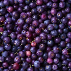 Amelanchier texture background, shadbush, shadwood or shadblow fruits pattern, many serviceberry