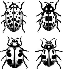 Insect ladybird set, cute small silhouette of bugs, Cartoon Lady Bug Icon Set. Vector