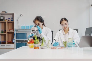 Two female researchers in the lab work at a desk on plant genetic modification for food, meat, and vegetables, utilizing advanced genetic engineering technology to enhance crops and animal feed.