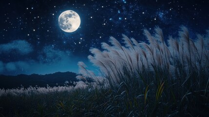 Fototapeta premium Full moon and Japanese pampas grass in midnight,The harvest Miscanthus sinensis and full moon,beautiful night sky in the countryside with the perfect moon exudes beauty in the dark.