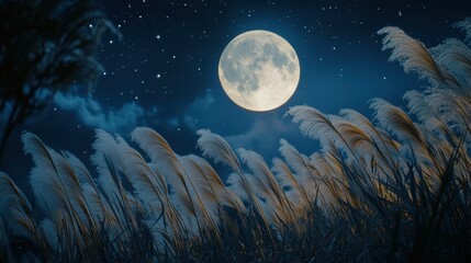 Fototapeta premium Full moon and Japanese pampas grass in midnight,The harvest Miscanthus sinensis and full moon,beautiful night sky in the countryside with the perfect moon exudes beauty in the dark.