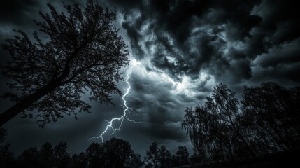 Obraz premium A powerful lightning bolt illuminates the dark, stormy sky above a forest, creating a dramatic and awe-inspiring scene.