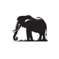 Fototapeta premium Elephant silhouette. Elephant vector design isolated on white background.