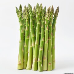 A collection of green asparagus stalks.