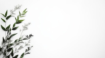 Green and White Floral Border on White Background
