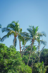Praia do Jabaquara, Ilha Bela São Paulo Brasil.