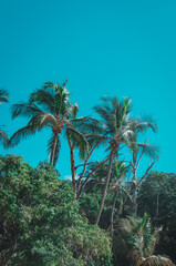 Praia do Jabaquara, Ilha Bela São Paulo Brasil.