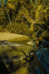 Praia do Jabaquara, Ilha Bela São Paulo Brasil.