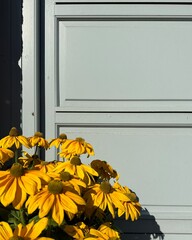yellow flowers on a door