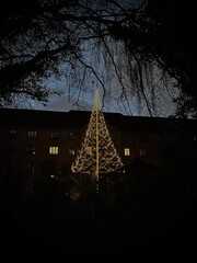 Christmas lights in winter