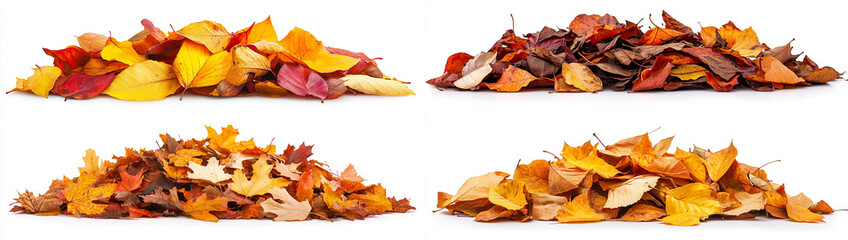 Pile of autumn leaves isolated on a white background with a clipping path