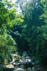 Castelhanos Ilha Bela