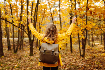 Back view. A joyful hiker in a yellow raincoat enjoys the vibrant autumn foliage while exploring a forest during a sunny day. Autumn landscape.