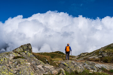 Schweiz Aletschgletscher