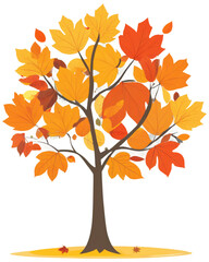 a tree with autumn leaves