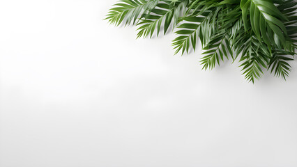 Obraz premium Top view of tropical palm leaves on white background with copy space.