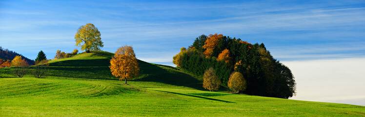 Bavarian Landscape in Autumn, green field, solitary trees and small forest under blue sky