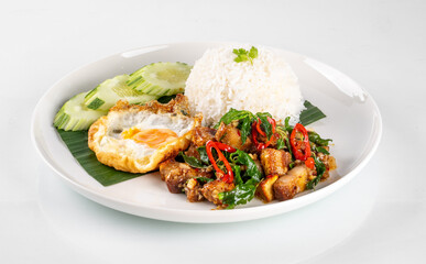 Thai basil chicken with rice, fried egg, and cucumber slices, beautifully plated, traditional Asian cuisine.