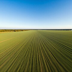 Aerial View of Lush Green Field with a Clear Blue Sky