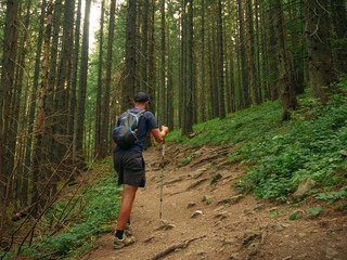 Obraz premium A hiker makes their way up a steep, dirt trail through a lush forest. The scene captures the challenge of trekking through wilderness, perfect for outdoor adventure and nature exploration themes.